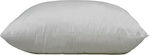 Vesta Home Suprema Sleep Pillow Microfiber Soft 50x70cm