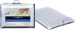 Greco Strom Sleep Pillow Memory Foam Anatomic Medium 40x70x12cm