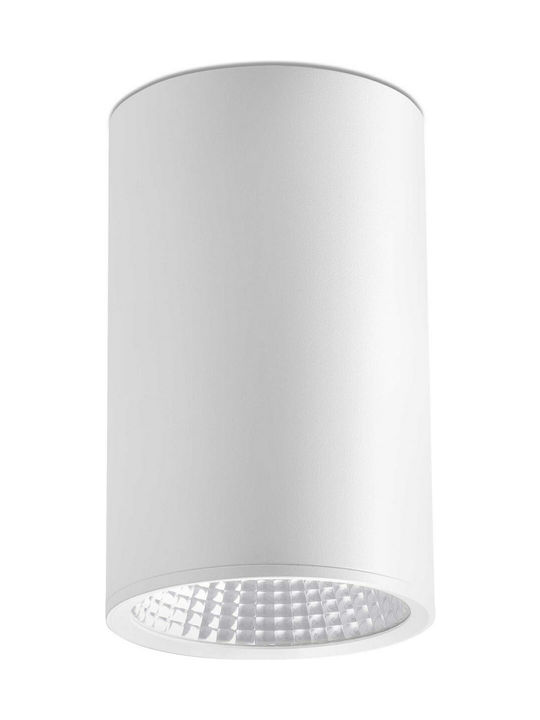 Faro Barcelona Rel-G Single Spot with Socket GU10 in White Color