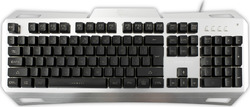 White Shark Gladiator (Αγγλικό US) White Shark Gladiator (Αγγλικό US)