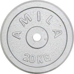 Amila Δίσκος Μεταλλικός 1 x 20kg Φ28mm