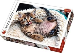 Puzzle Cheerful Kitten 2D 1000 Κομμάτια