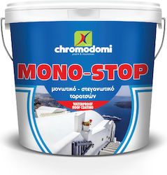 Χρωμοδομή Mono-stop Ακρυλικό Στεγανωτικό Λευκό