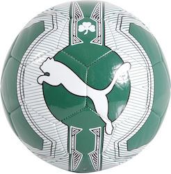 Puma Evopower 6 Panathinaikos Футболна топка Зелена