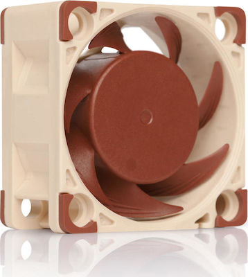 Noctua NF-A4x20 12V Вентилатор за кутия 40мм с връзка 3-Pin 1бр Кафяв