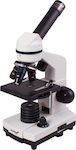 Levenhuk Rainbow D2L 0.3M Biologically Educational Monocular Microscope 400x