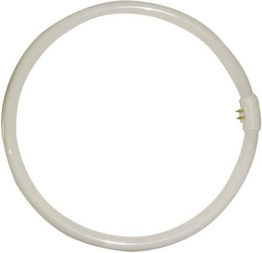 Eurolamp Λάμπα Φθορίου για Ντουί G10Q με Σχήμα T9 40W