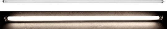 Adeleq Fluorescent Lamp for Socket G5 with Shape T5 35W