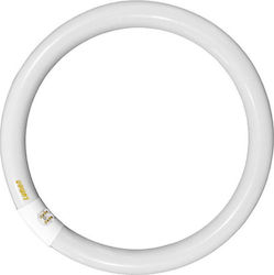 Adeleq Lampă Fluorescentă cu Formă T9 32W