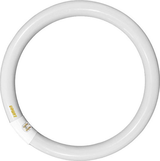 Adeleq Leuchtstofflampe mit Form T9 32W