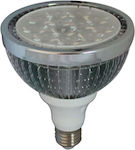 Diolamp LED Lampen für Fassung E27 und Form PAR38 Kühles Weiß 1150lm 1Stück