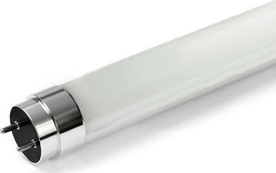 Diolamp Λάμπα LED Τύπου Φθορίου 120cm για Ντουί G13 και Σχήμα T8 Ψυχρό Λευκό 1800lm