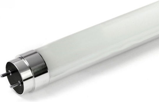 Diolamp Bec LED 9W Tip Tub 60εκ. pentru Soclu G13 și Formă T8 Alb natural 830lm