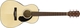 Fender Ακουστική Κιθάρα CP-60S Natural