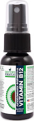 Doctor's Formulas Vitamin B12 Spray 1mg 30ml