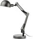 Faro Barcelona Baobab Office Lamp with Foldable Arm for Socket E14 in Gray Color