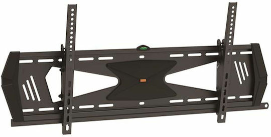 StarTech S55058175 Επιτοίχια έως 70" και 40kg