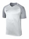 Dry Trophy III Männer Fußball Jersey