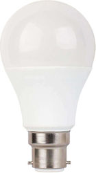 Diolamp LED крушка 13W за фасунга B22 Хладно бяло