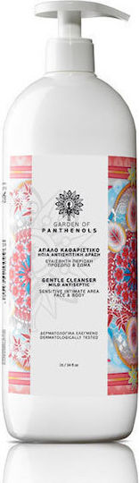 Garden Gentle Cleanser Mild Antiseptic Αφρόλουτρο με Χαμομήλι & Άρωμα Εσπεριδοειδή 1000ml