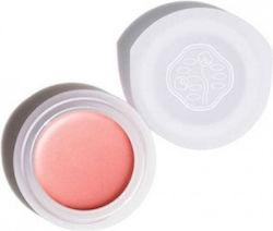 Shiseido Paperlight Cremă Fard De Pleoape Culoare Portocalie 6gr