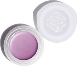 Shiseido Paperlight Cream Eye Color Fard de Ple...