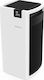 Boneco P700 Air Purifier 67W for Spaces 200m²