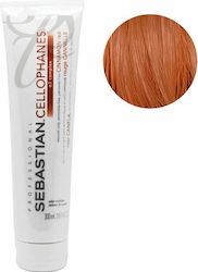 Sebastian Professional Cellophanes Cinnamon Red Sebastian Professional Cellophanes Cinnamon Red