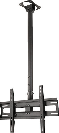 Edbak CMS21 CMS21 TV Mount Ceiling with Arm up to 65" and 60kg