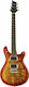 Harley Benton Electric Guitar Stratocaster with HH Pickup Configuration Paradise Flame CST-24T Bundle