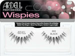 Ardell Wispies False Lashes in Black color 603