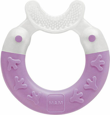 Mam Bite & Brush Teething Ring made of Plastic for 3 m+ Purple Ring 1pcs