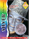 Carnival Face Painting Silver