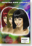 Carnival Wig Straight 23828 Καρέ με Αφέλειες (Μiscellaneous colours)