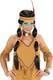 Carnival Wig with Braids Brunette