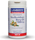 Lamberts Sea Buckthorn Berry Oil 1000mg 30 capace