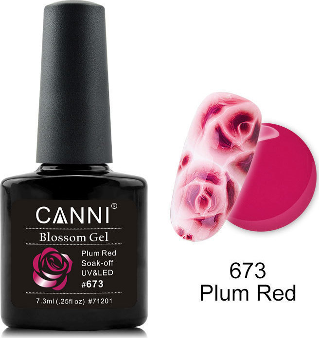 Canni Nail Art Blossom Gel 673 - Skroutz.gr