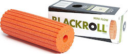 Blackroll Mini Flow Orange 15cm