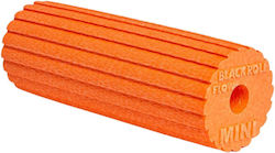 Blackroll Mini Flow Orange 15cm