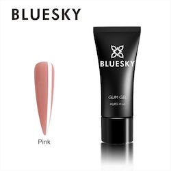 Bluesky Gum PINK 60ml