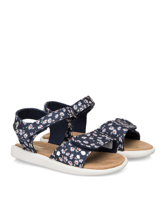 Toms