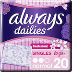 Always Dailies Singles To Go Daily Liners for Normal Flow 2 Drop 20pcs Normal Fresh Scent