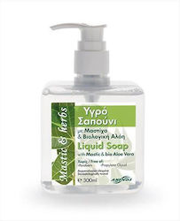 Anemos Mastic & Herbs Течен Сапун Mastic & Bio Aloe Vera Пудра 300ml