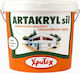 CHrotech Artakryl Silicone Plastic Acrilyc Paint for Exterior Use White 9lt