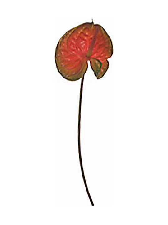 Zaros Künstlicher Dekorativer Zweig Schwanzblume (Anthurium) 64cm 1Stück