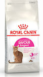 Royal Canin Feline Preference Savour Exigent Trockenfutter für erwachsene Katzen mit Geflügel 0.4kg