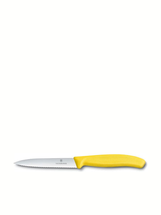 Victorinox General Use Knife of Stainless Steel 10cm 6.7736.L8
