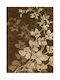 Tapicap Blossom Rug Rectangular Brown