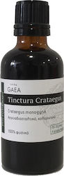 Think GAEA Tincture Hawthorn Tincture 125ml