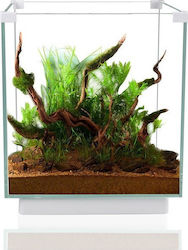 Sun-Sun ATK-200D Fish Aquarium Capacity 10lt with 20.5x20.5x30cm White